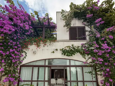 Ferienwohnung für 4 Personen (42 m²) in Rovinj 5/10