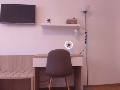 Ferienwohnung für 3 Personen (35 m²) in Rovinj 7/10