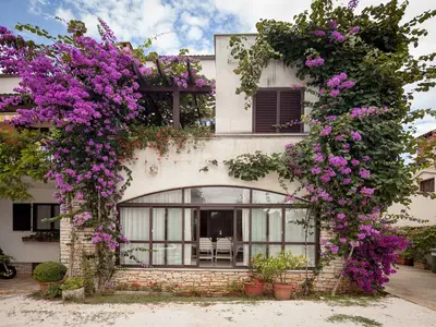 Ferienwohnung für 6 Personen (71 m²) in Rovinj 1/10