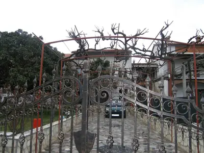 Ferienwohnung für 5 Personen (65 m²) in Rovinj 2/10