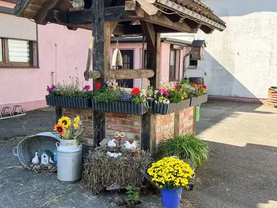 Ferienwohnung für 9 Personen (85 m²) in Rubkow 3/10