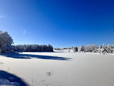 Schönewalder Weiher Rückholz Ferien im Blockhaus W