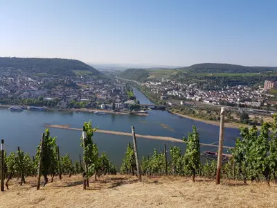 Ferienwohnung für 3 Personen (80 m²) in Rüdesheim am Rhein 2/10