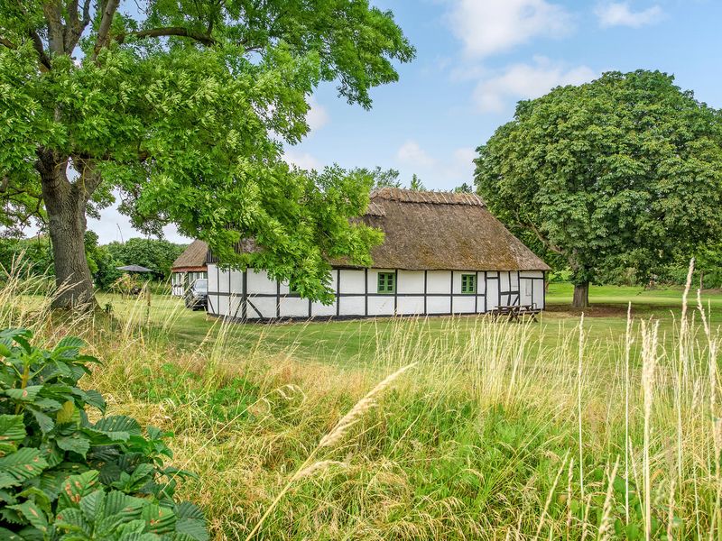 23741548-Ferienwohnung-4-Rudkøbing-800x600-1