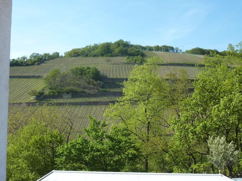 23349945-Ferienwohnung-2-Rüdesheim am Rhein-800x600-0