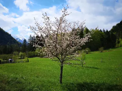 Ferienwohnung für 5 Personen (104 m²) in Ruhpolding 1/10