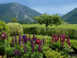 Wiesen und Berge soweit das Auge reicht