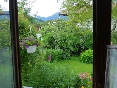 Ausblick in den Garten