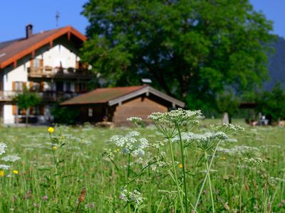 Ramslerhof mit Blumenwiese