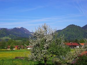 98105-Ferienwohnung-3-Ruhpolding-300x225-1