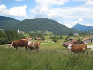 22289881-Ferienwohnung-4-Ruhpolding-300x225-2