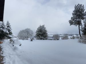 74437-Ferienwohnung-4-Ruhpolding-300x225-5