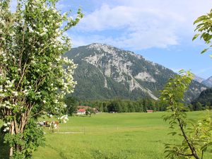 21203811-Ferienwohnung-4-Ruhpolding-300x225-3