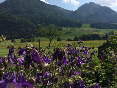 Aussicht über den Garten