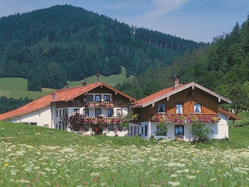 18556006-Ferienwohnung-5-Ruhpolding-800x600-0