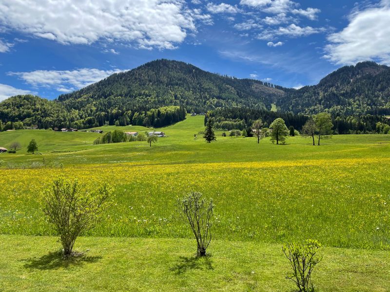 23504928-Ferienwohnung-4-Ruhpolding-800x600-1