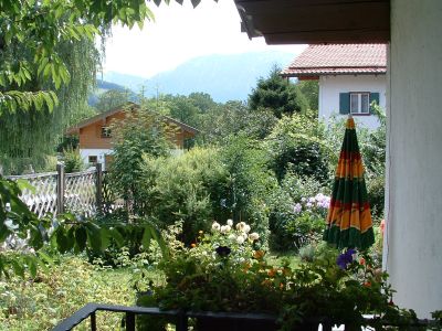 Ausblick in den Garten