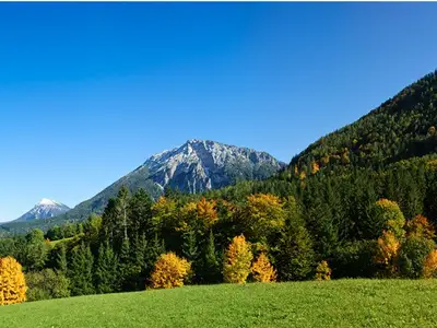 Ferienwohnung für 4 Personen (50 m²) in Ruhpolding 6/9