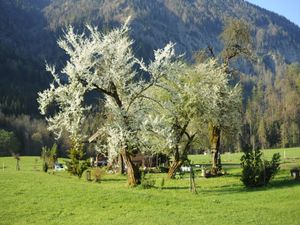 3192387-Ferienwohnung-4-Ruhpolding-300x225-5