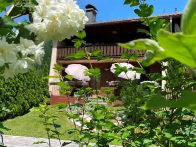 Terrasse in der Nachmittagssonne (Westlage)