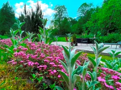 Überbaute Holzterrasse