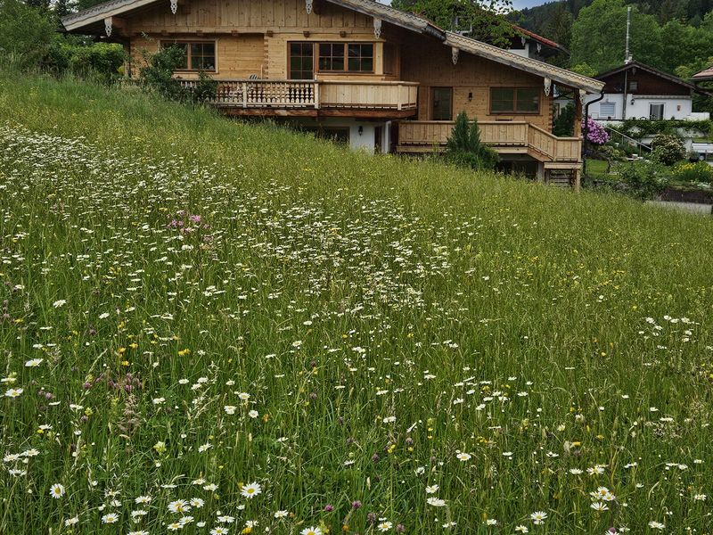 19041500-Ferienwohnung-2-Ruhpolding-800x600-0