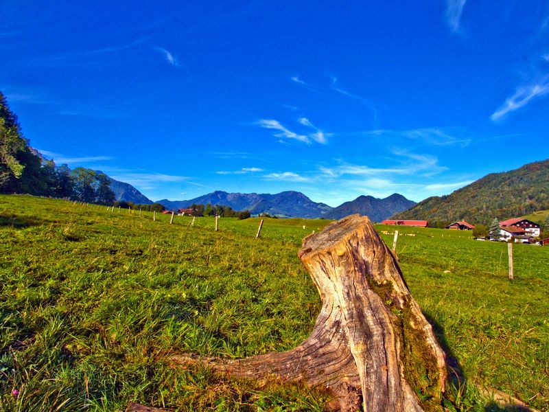 19090668-Ferienwohnung-6-Ruhpolding-800x600-1