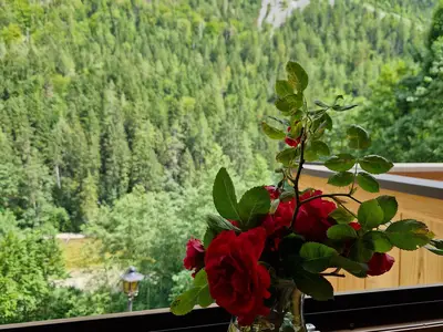 Aussicht vom Schlafzimmer