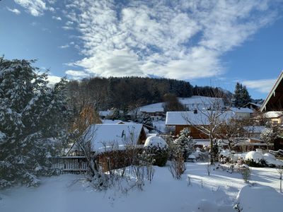 Gartenausblick zur Westseite zum Adlerhügel