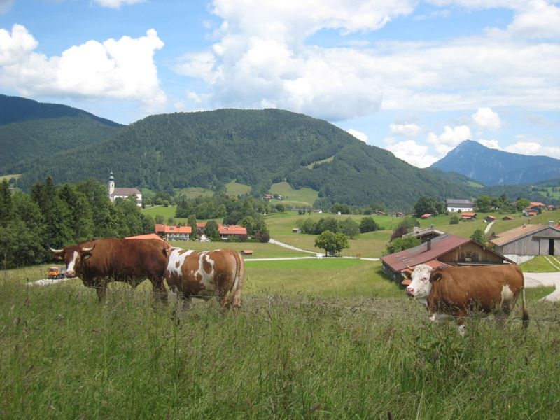 22289881-Ferienwohnung-4-Ruhpolding-800x600-2