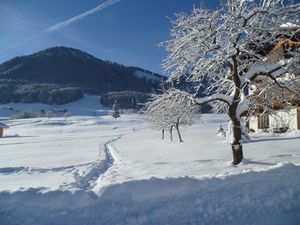 18296671-Ferienwohnung-3-Ruhpolding-300x225-3