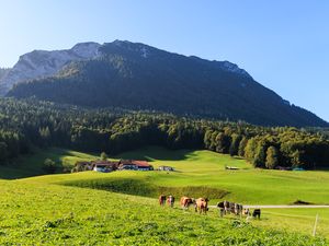 18196549-Ferienwohnung-5-Ruhpolding-300x225-4