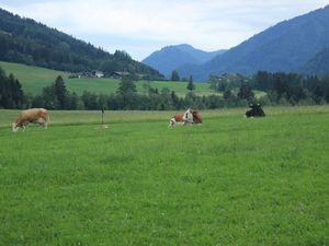 21203821-Ferienwohnung-3-Ruhpolding-300x225-3