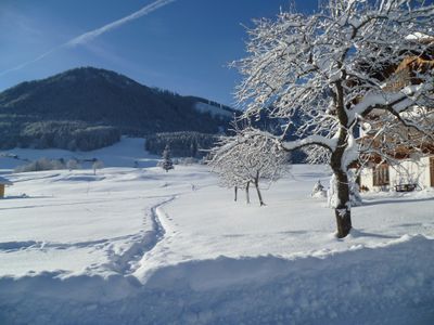 Loipe direkt ab Haus