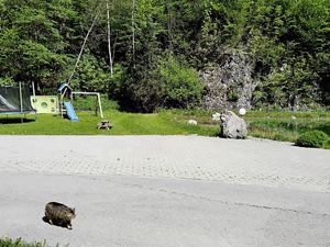 108063-Ferienwohnung-4-Ruhpolding-300x225-1