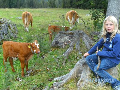 Auf der Alm