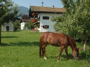 107771-Ferienwohnung-4-Ruhpolding-300x225-4