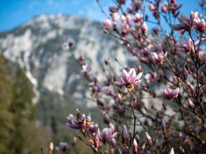 74460-Ferienwohnung-2-Ruhpolding-300x225-2