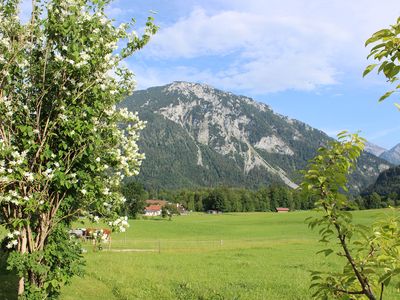 Aussicht zum Rauschberg