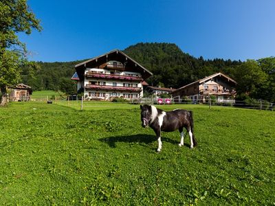 Herzlich willkommen am Langerbauer Hof