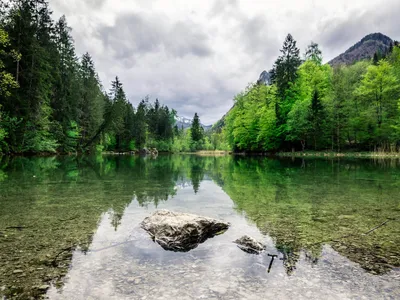 Taubensee, in 5 min zu Fuß erreichbar