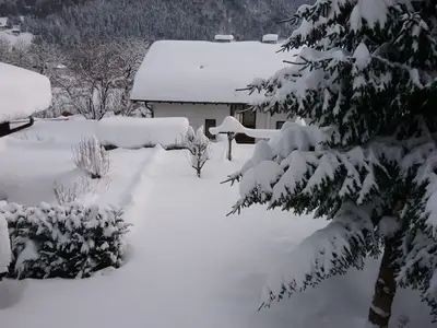 Pension Bergblick Wnter Garten
