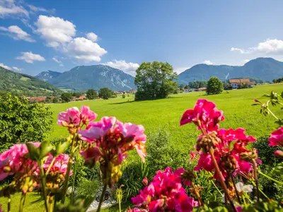Blumen auf dem Balkon / Sommer in Ruhpolding