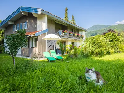 Garten mit Katze "Kleiner"