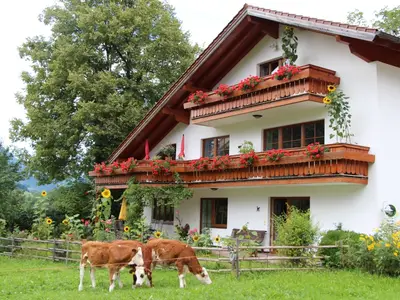 Natur rund ums Haus