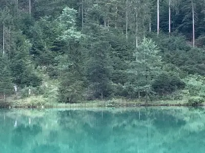 Taubensee