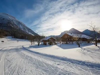 Widdmoos im Winter