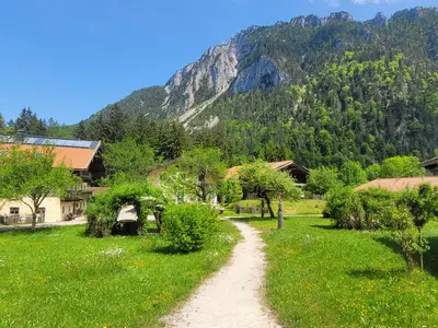 Sommertraum