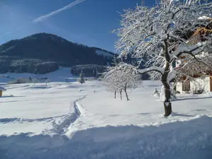 Ferienwohnung für 3 Personen (43 m²) in Ruhpolding
