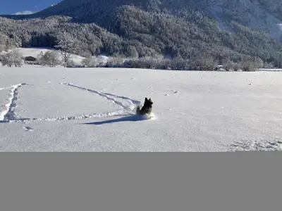 Spaß im Schnee